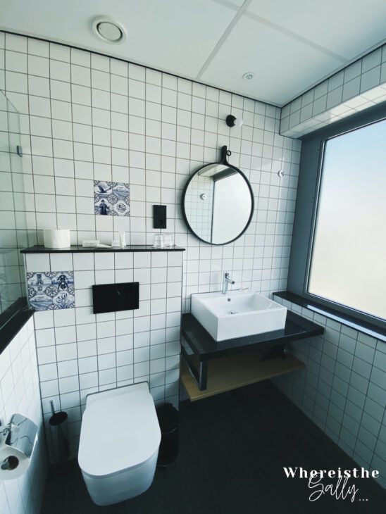 urban-lodge-hotel-toilet-1