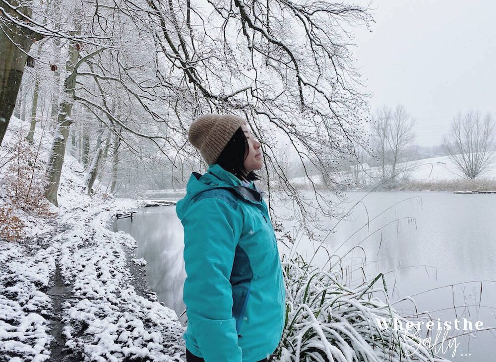 dusseldorf-first-snow