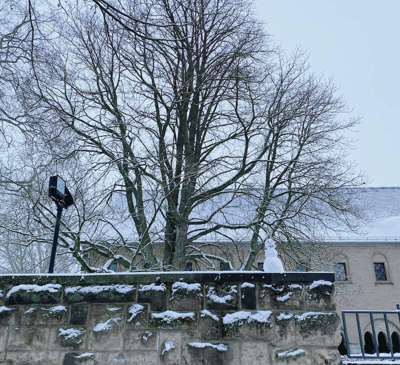 dusseldorf-first-snow