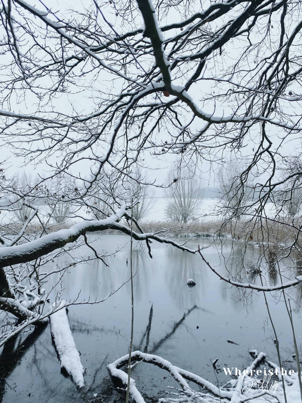 dusseldorf-first-snow