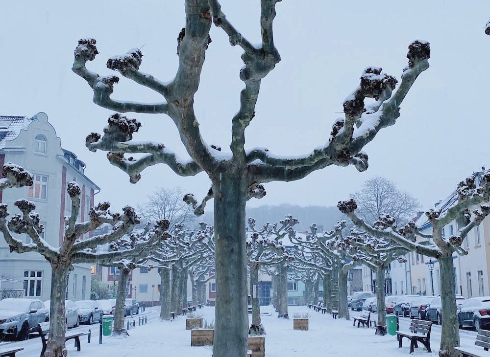 dusseldorf-first-snow