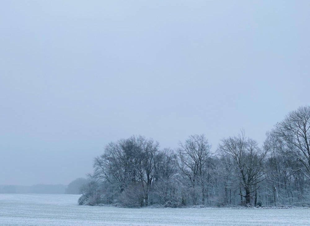 dusseldorf-first-snow