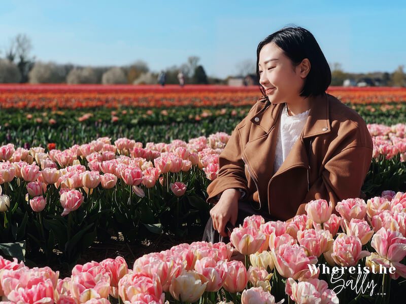 tulpenhof-francken