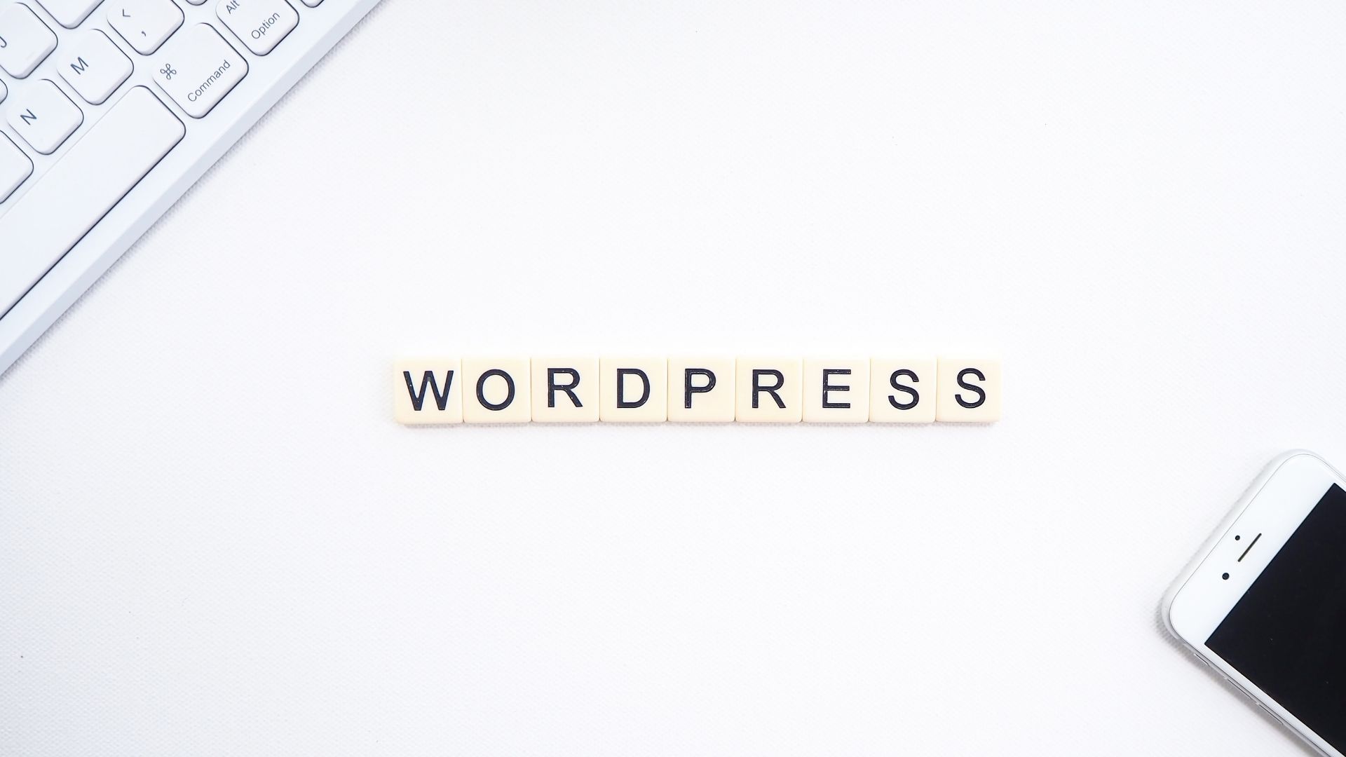 wordpress