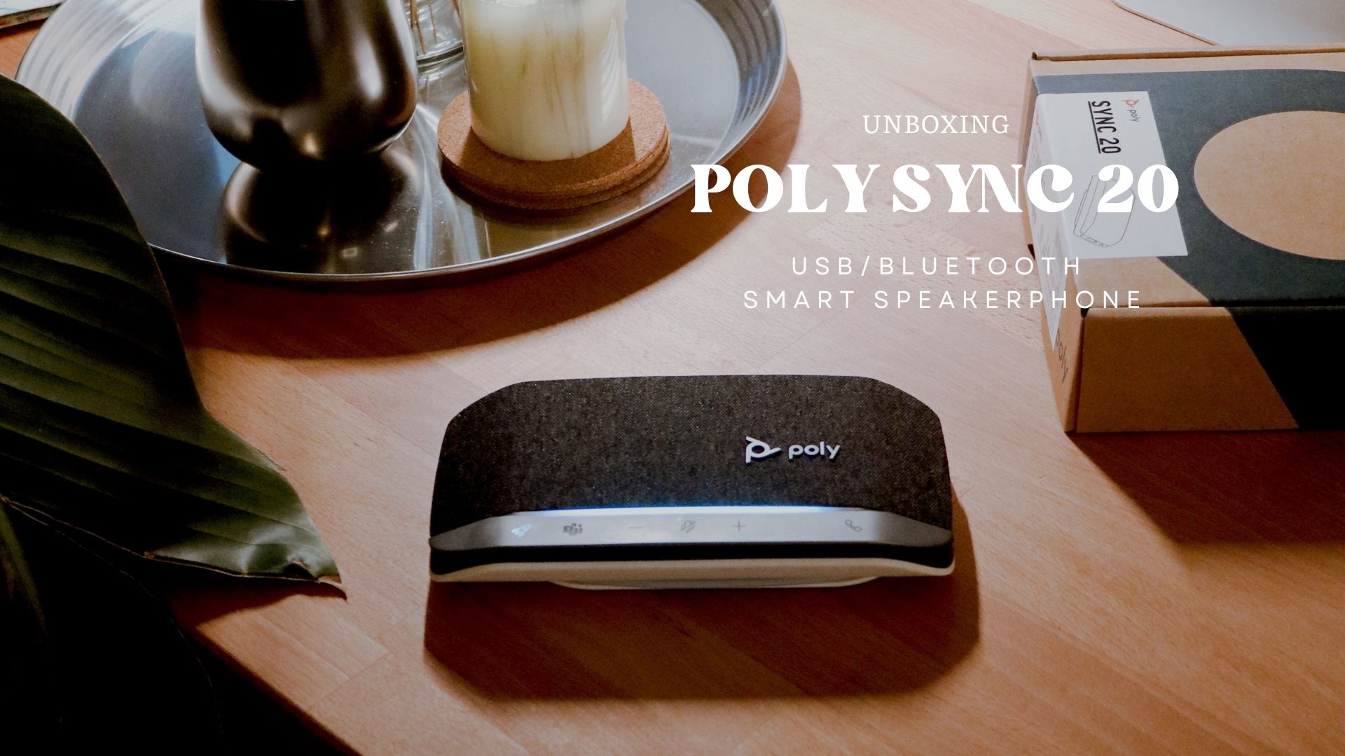 poly-sync-20