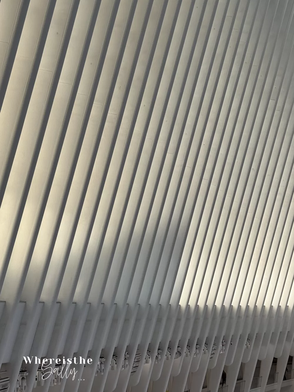 Oculus 世界貿易中心車站內部建築設計