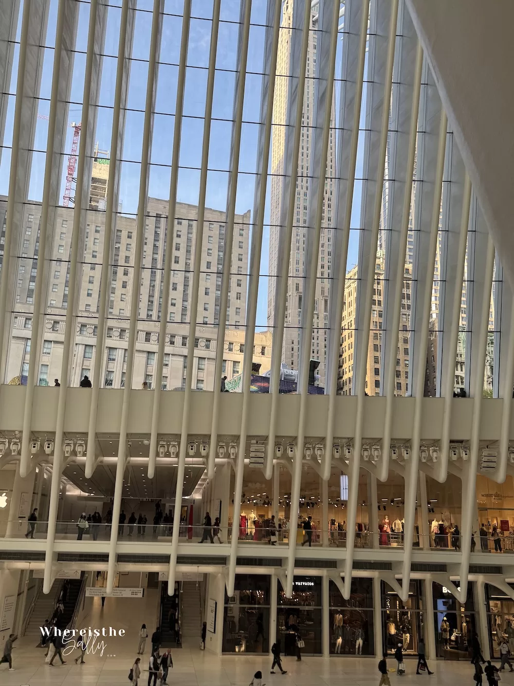 Oculus 世界貿易中心車站內部建築設計