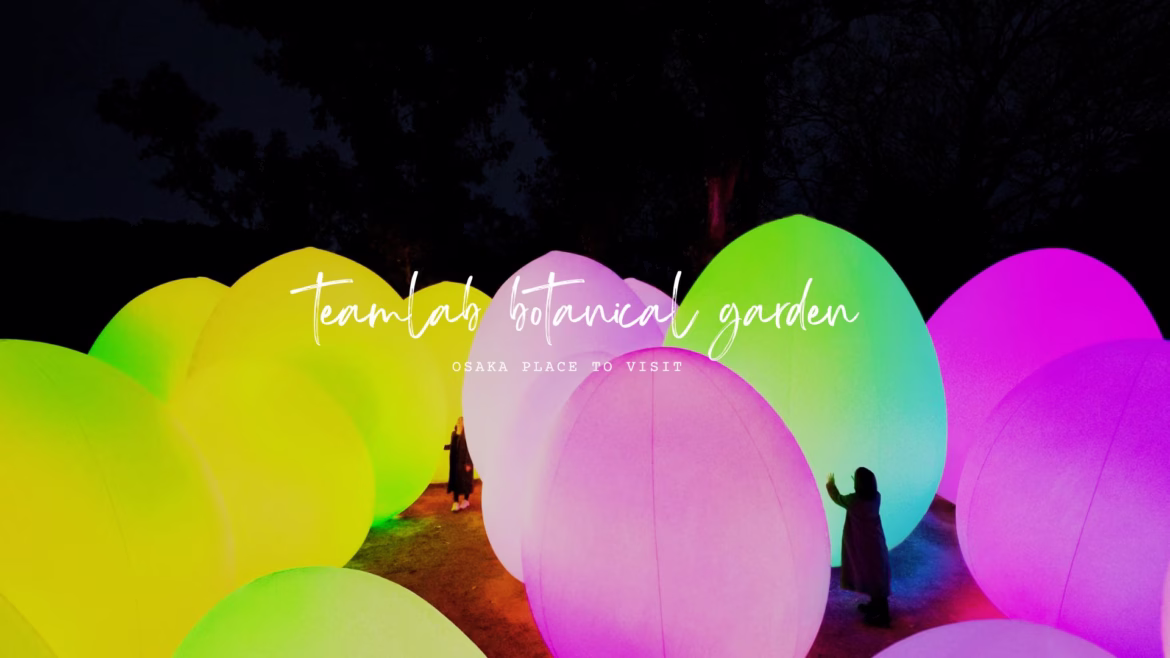 大阪長居植物園-teamLab-夜晚光影展-whereisthesally